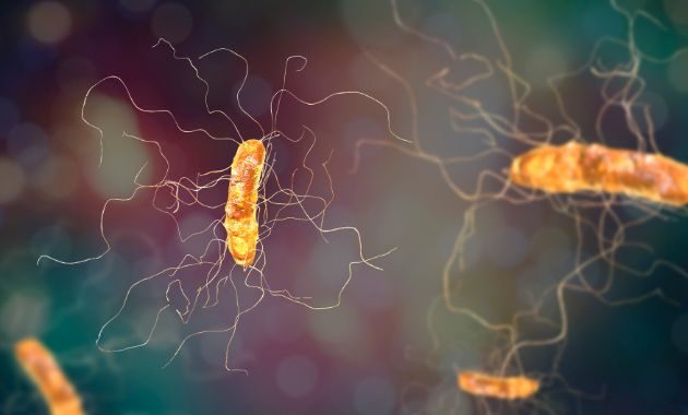 Antibiorésistance : comment lutter contre en odontologie Antibiorésistance : comment lutter contre en odontologie