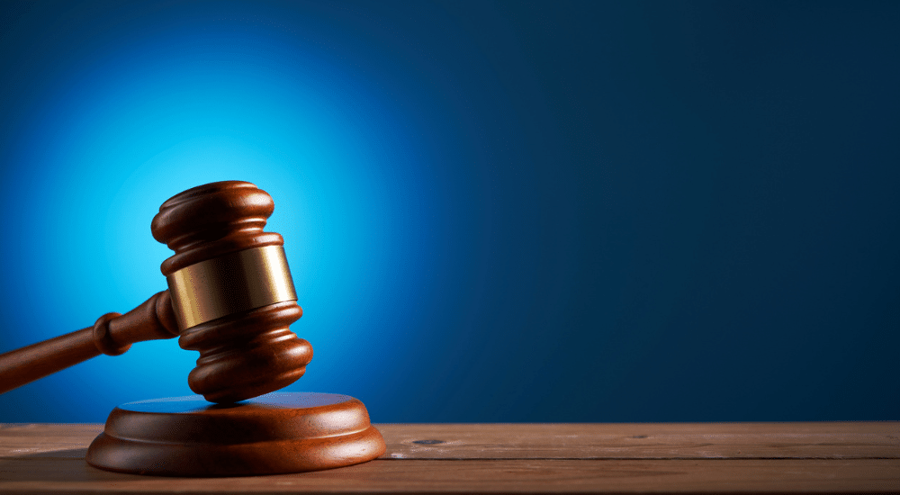 dividendes holding cotisations sociales