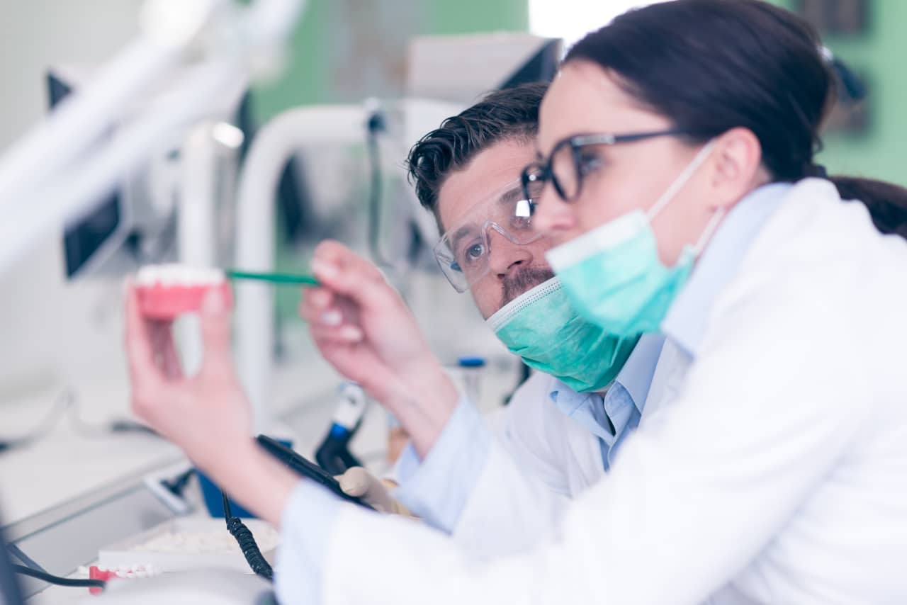 Busy young stomatology students working carefully on anatomical models with dental drill - Busy young stomatology students working carefully on anatomical models - 613871332